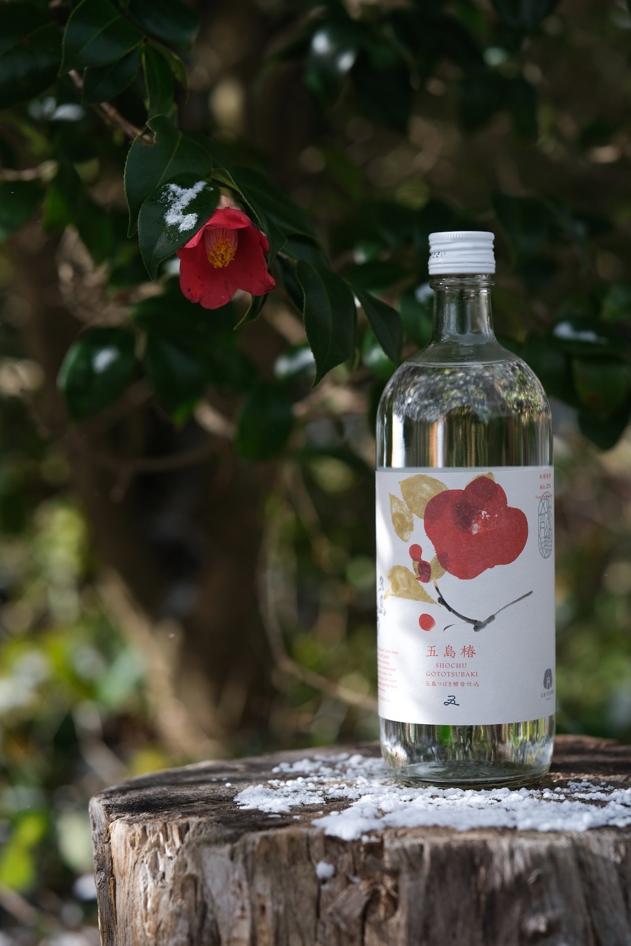 五島椿720ml 化粧箱入 – 五島列島酒造