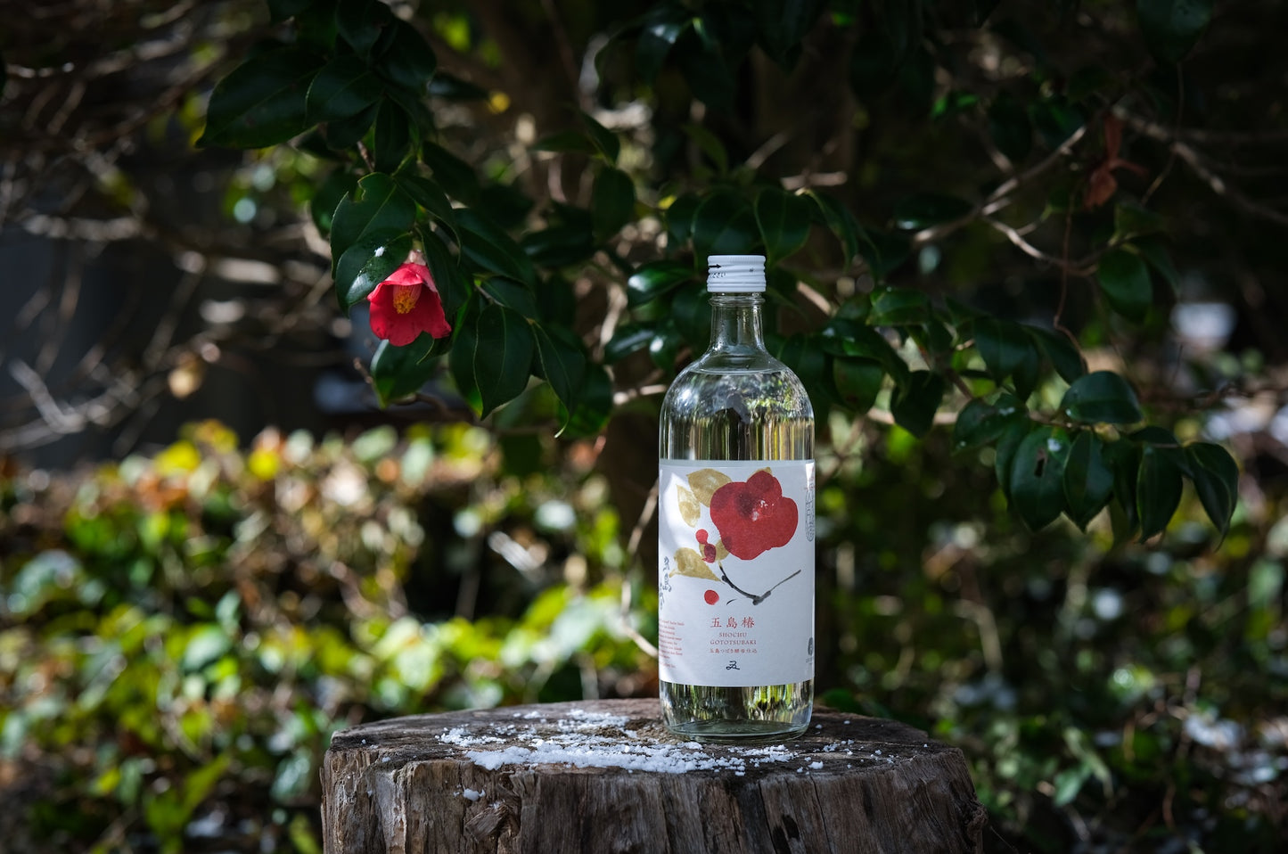 五島椿720ml  化粧箱入